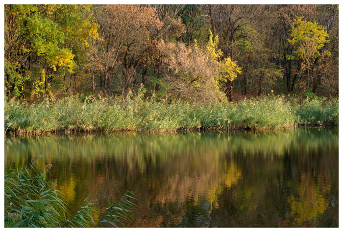 осень осень