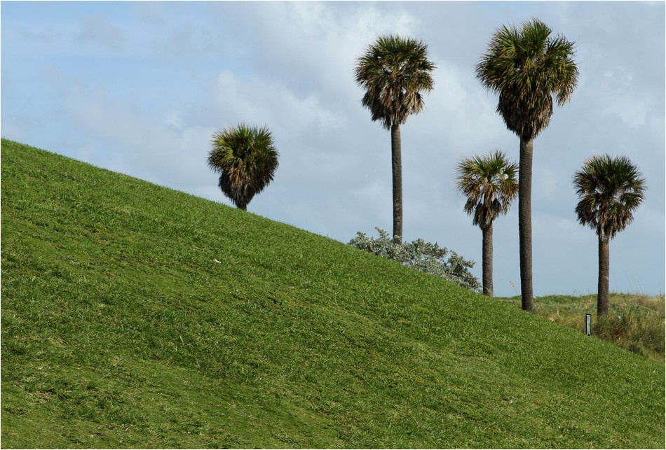 Green green Miami Beach