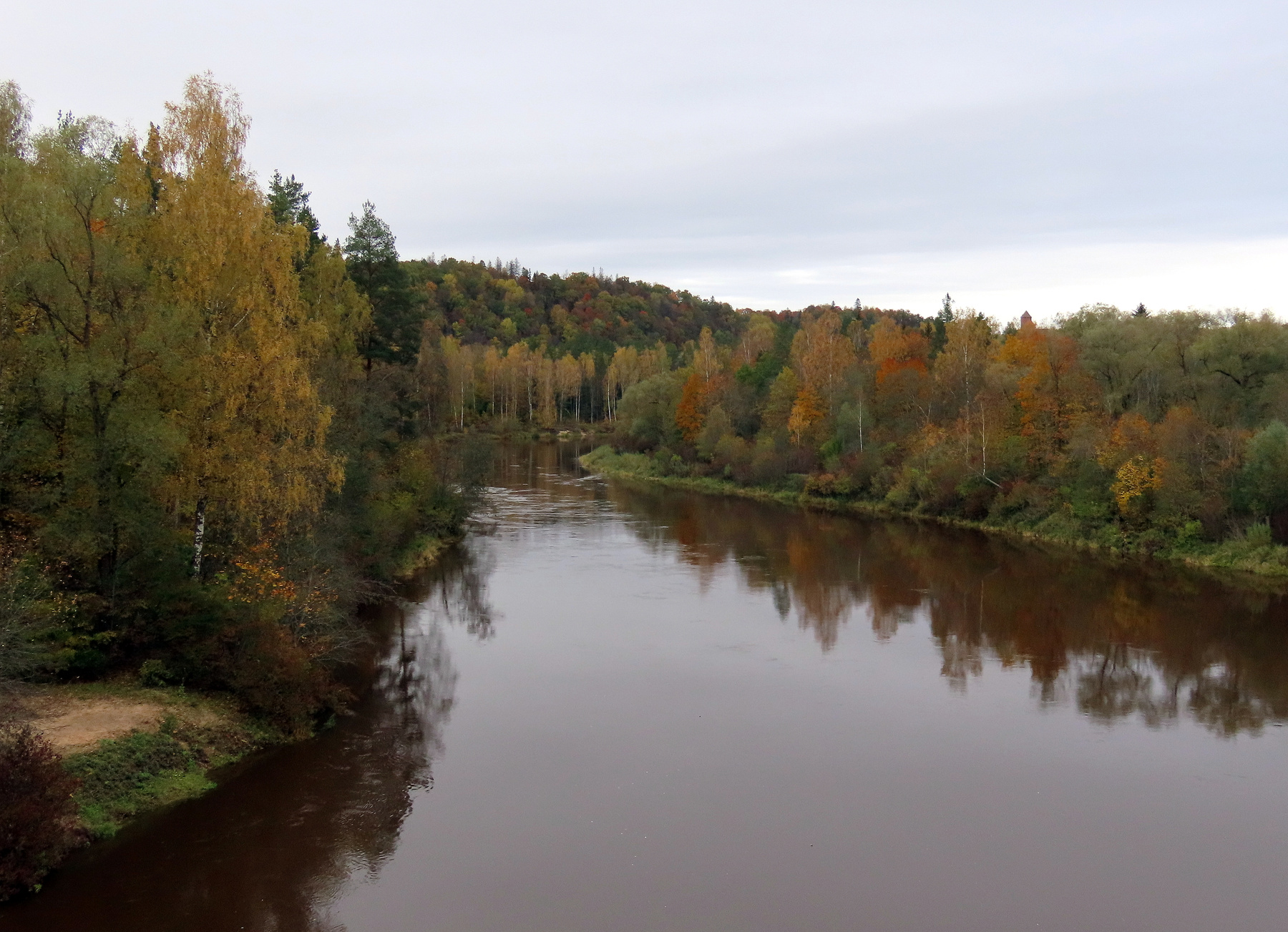 *** осень река лес дерево отражение