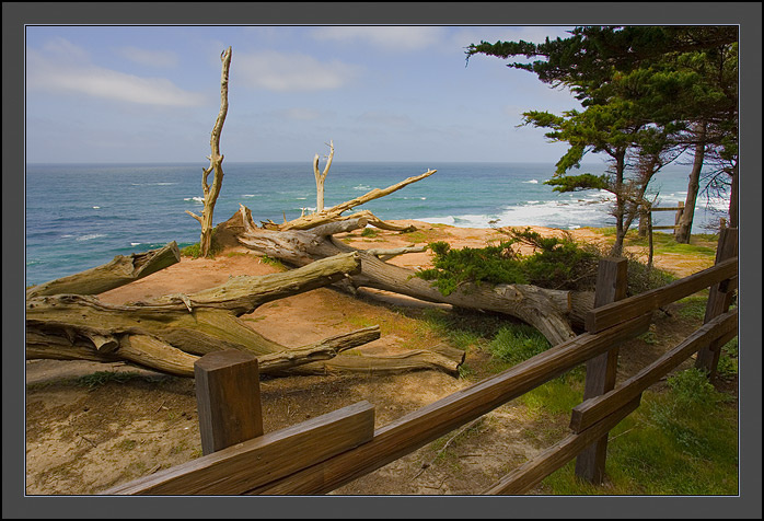 West coast #16 
