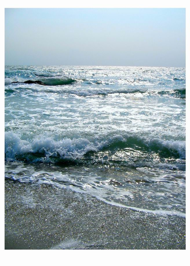 Черное море море