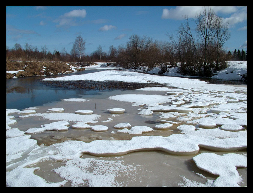 Северные лотосы. река, льдины, деревья