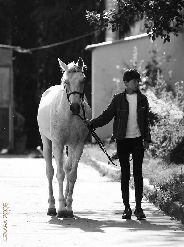 The Horse and his boy (c) Битца Москва лошадь мальчик арабская horse