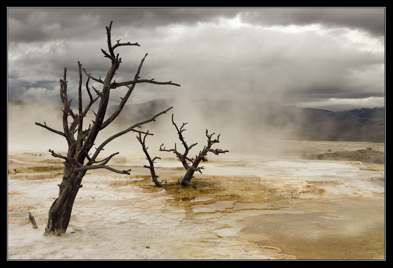 Мертвые #2 Yellowstone