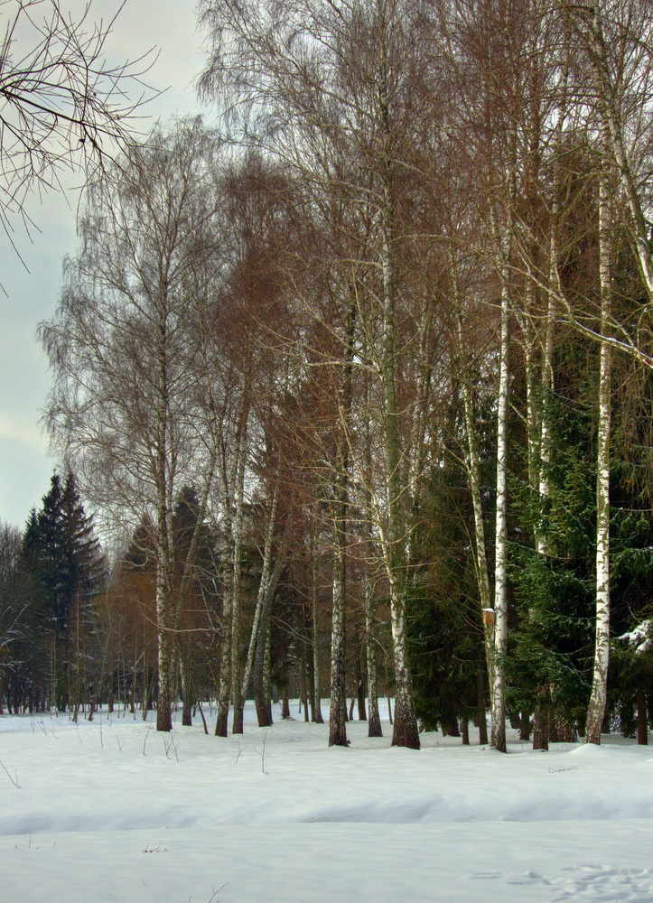 Зима в парке 