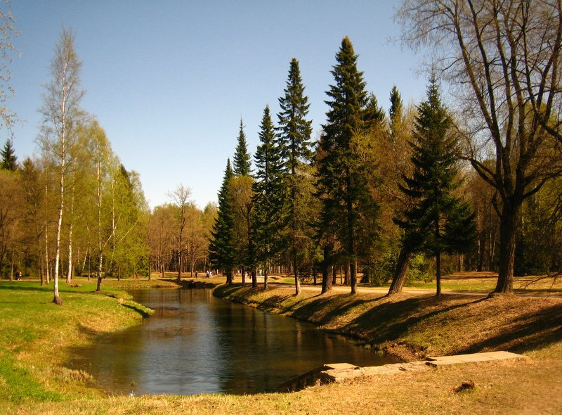 Павловск природа река деревья