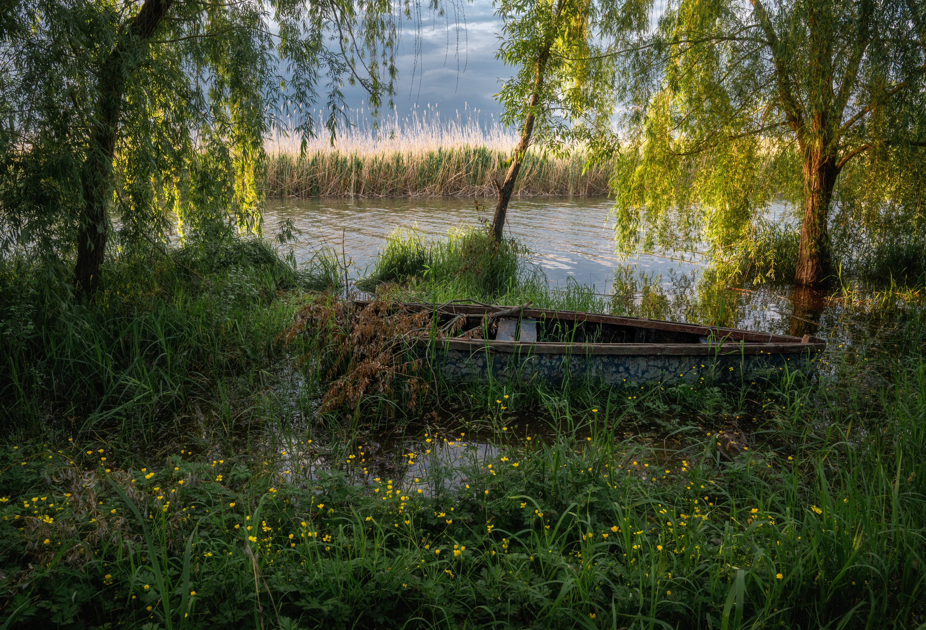 Заброшенное лодка пейзаж природа весна река