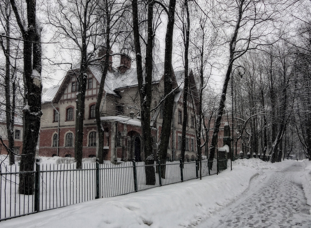 Серый февраль 