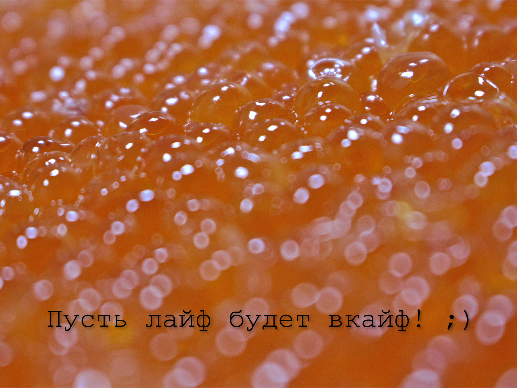 enjoy life! :) 