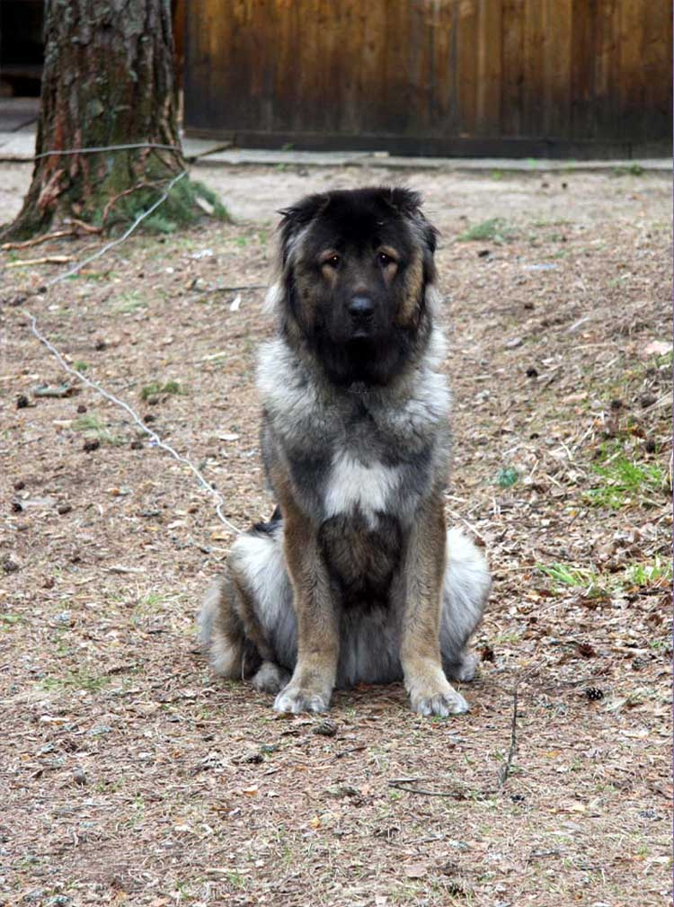 ВзГлЯд 