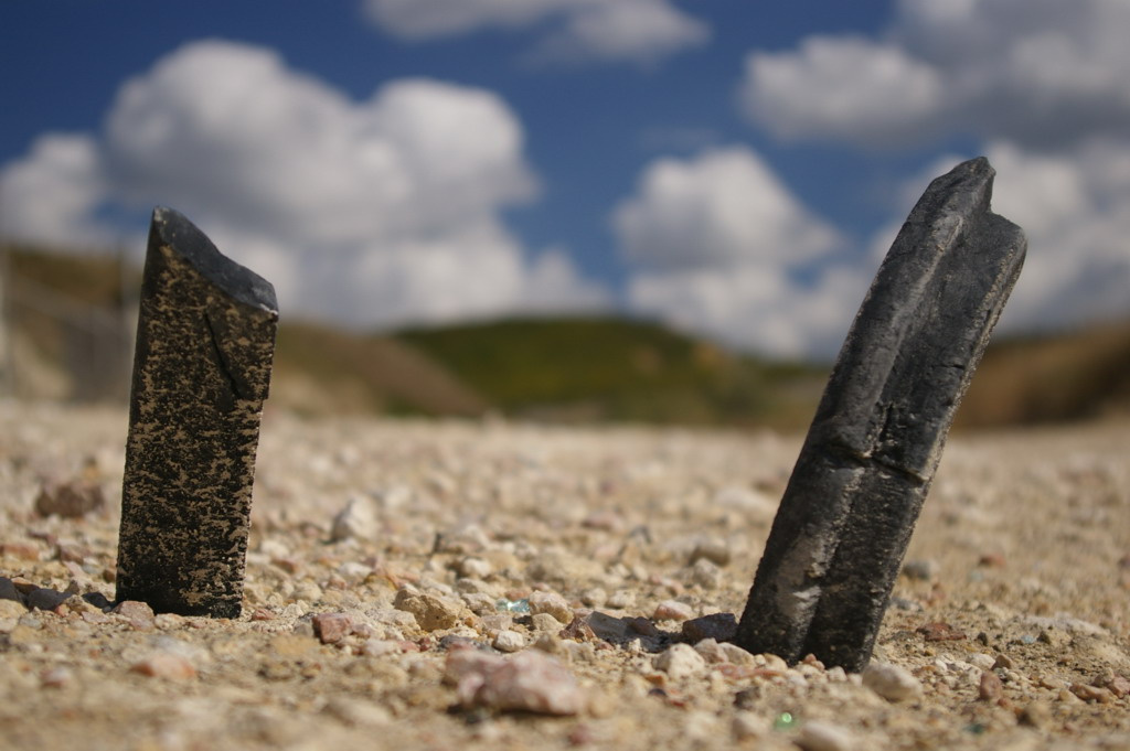 Странная флора Крыма странная трава