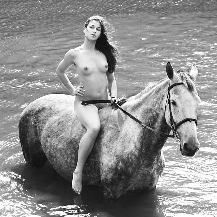Rider 