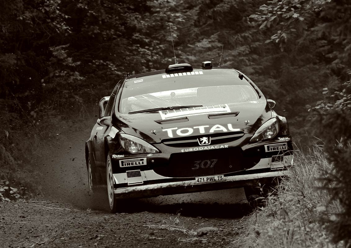 Майкл Парк и Марко Мартин в Финляндии майкл парк марко мартин ралли пежо wrc