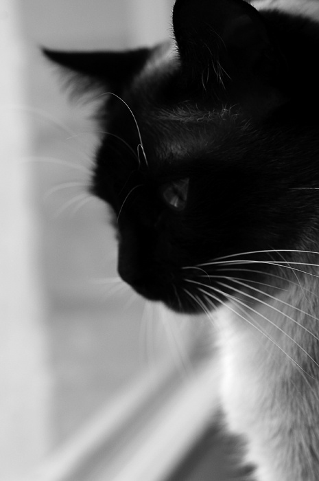 B/w 