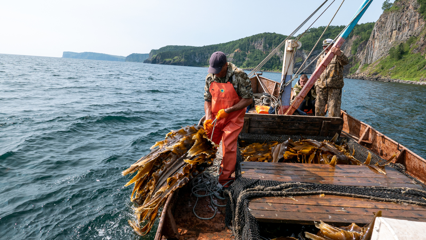 За капустой на дно морское 