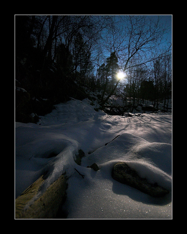 Moonlight 