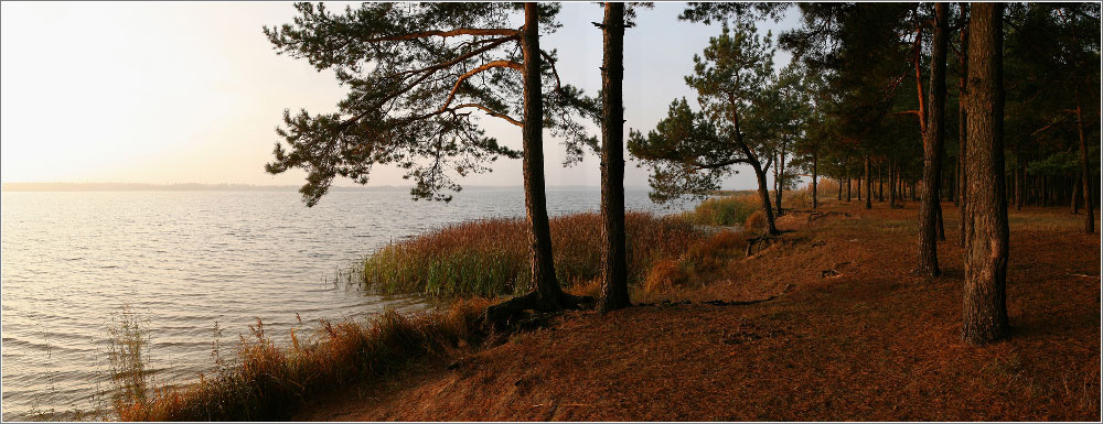 Осенний Солигорское водохранилище осень берег утро