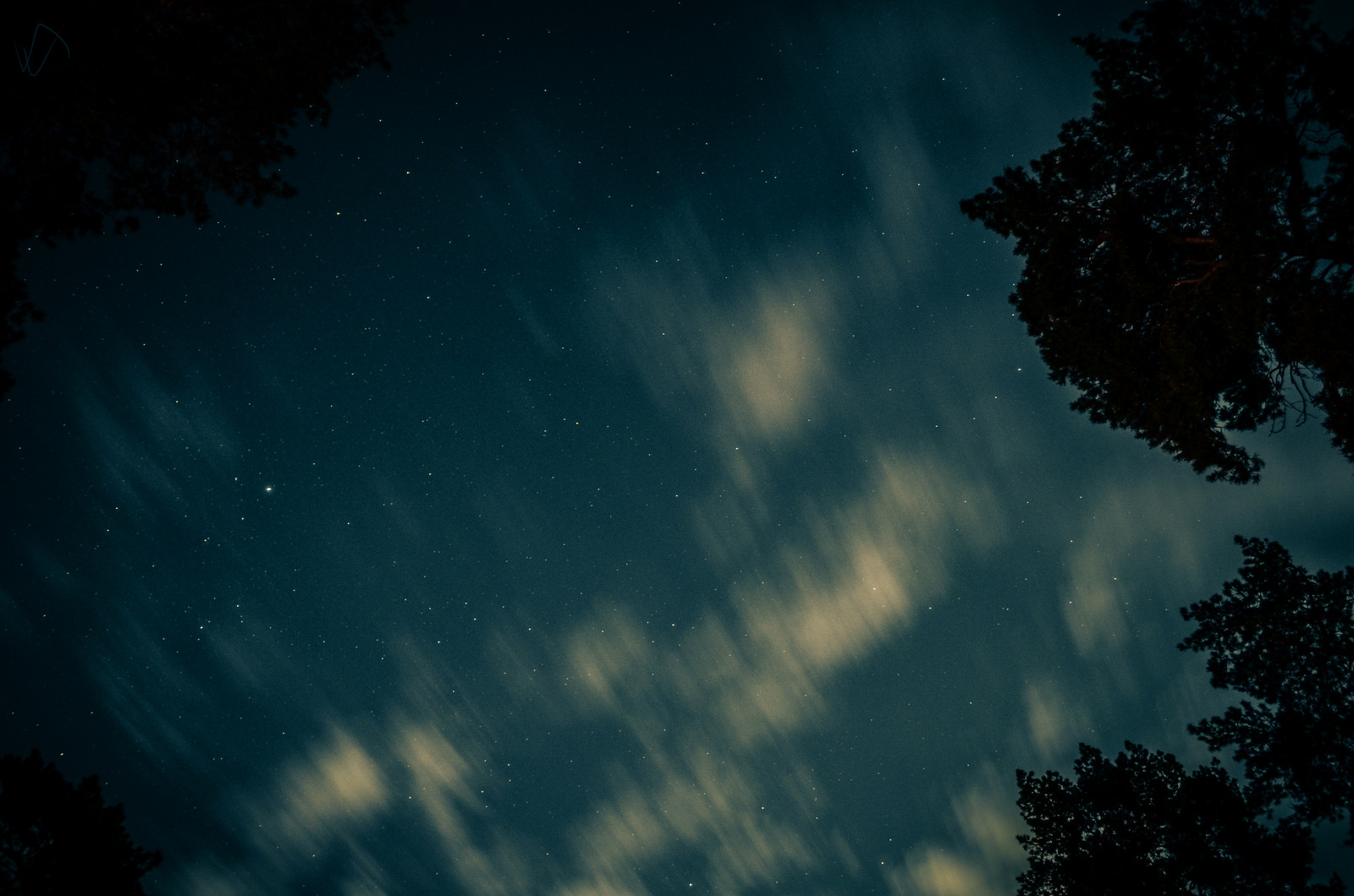 Stars... few  Звезды, деревья, ночь, Россия, сосны, лес, облака