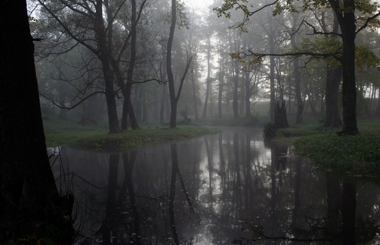 ... morning silence III 
