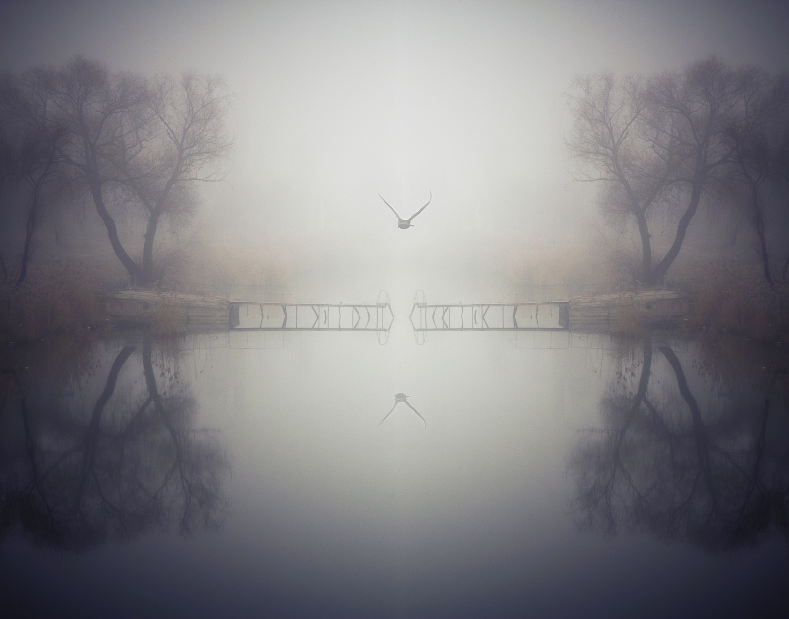 Silent world Silent world