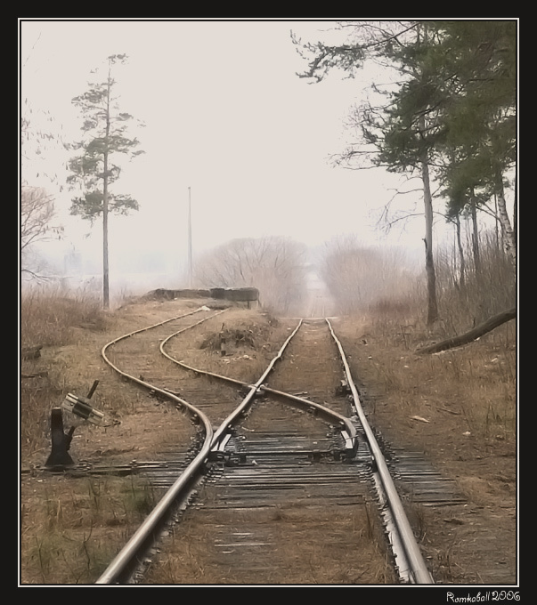 Верной дорогой... Лес дорога пути туман стрелка