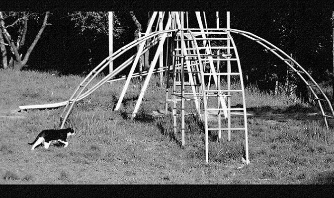 и не слышен децкий смех... все ушли..в школу..