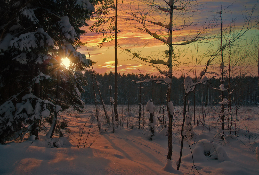 Зимний вечер http://lena-painter.ya.ru/ зима лес природа закат природа