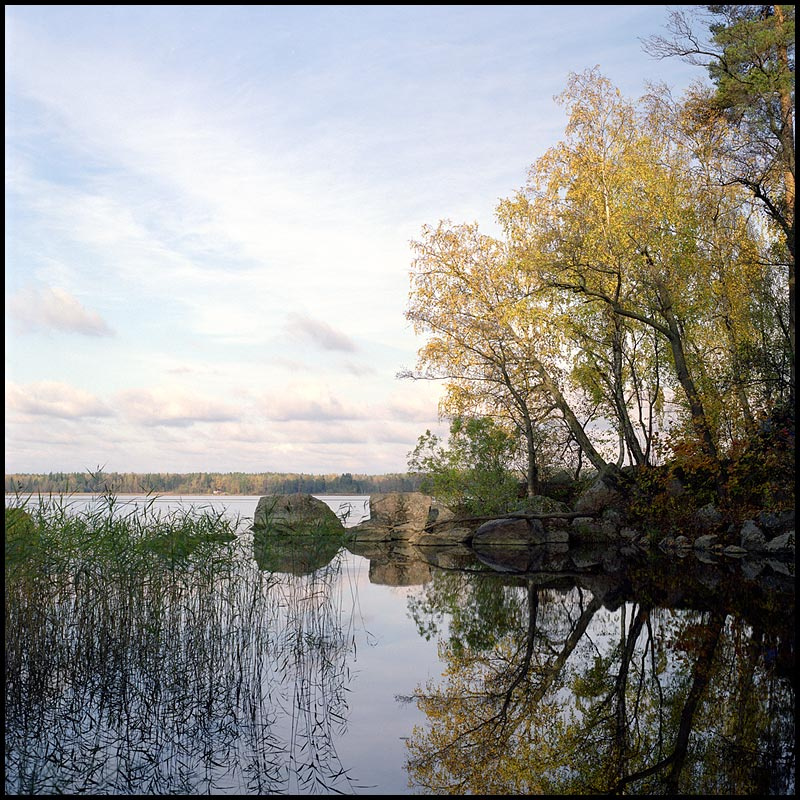 Осень в Монрепо Hasselblad, Выборг