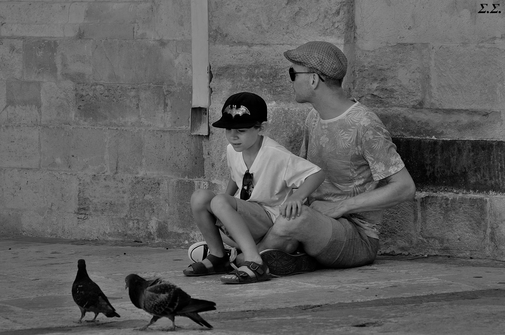 BATBOY FATHER AND PIGEONS 