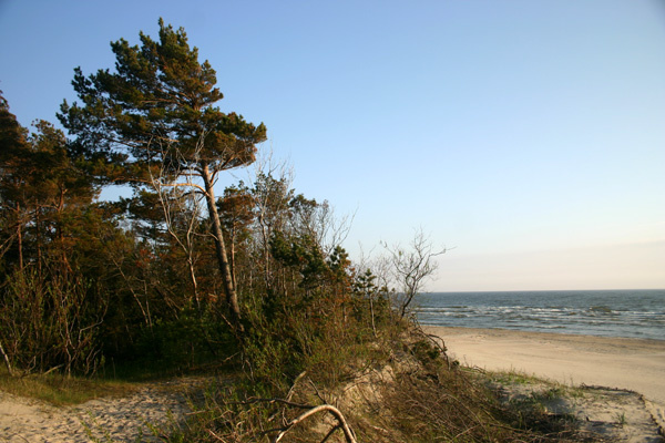 postcard from Palanga postcard from Palanga