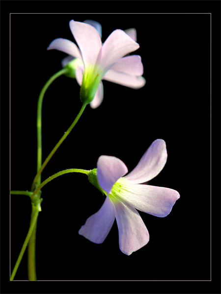 Первая проба аппарата 