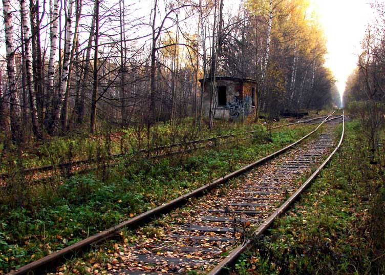 ...пересекутся за горизонтом. горизонт дорога рельсы осень