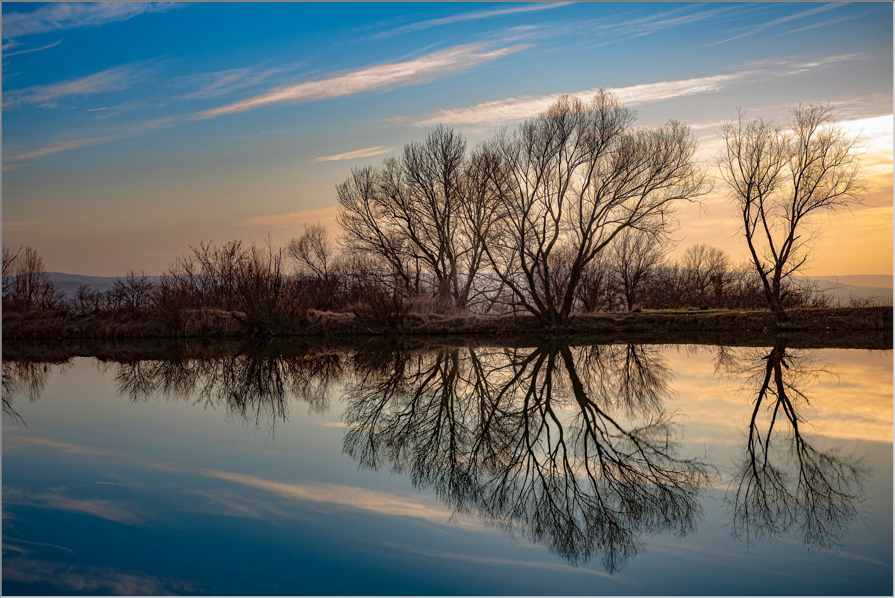 Цикл жизни природа