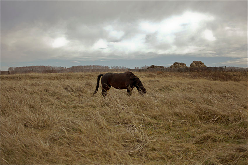 *** Колмаково