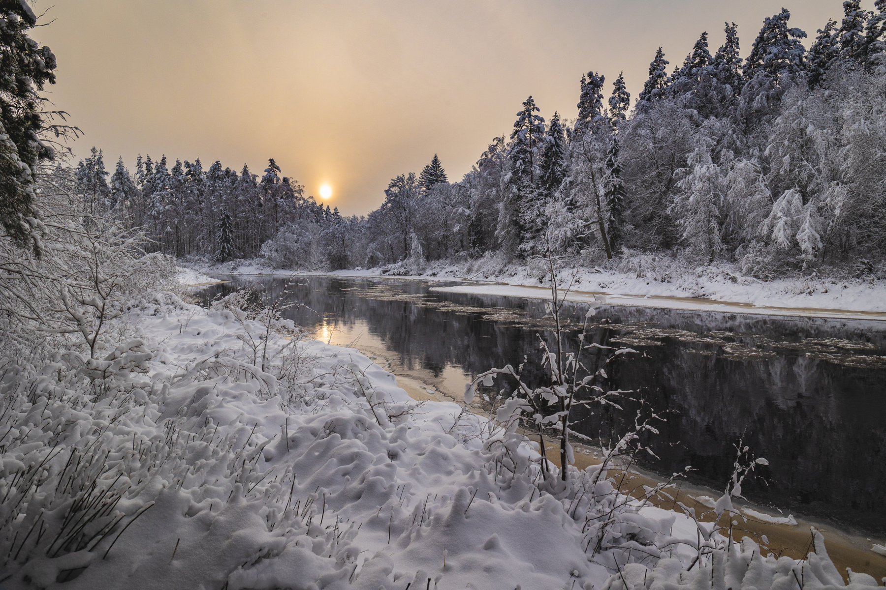 р. Gauja 