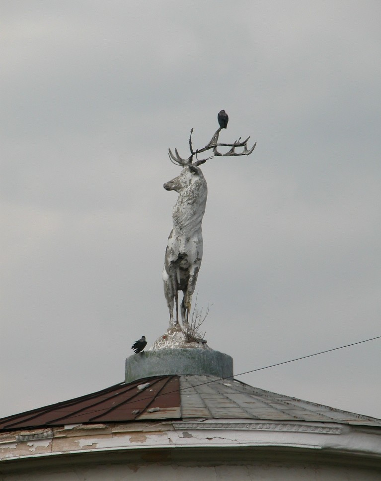 Старый олень охота животные