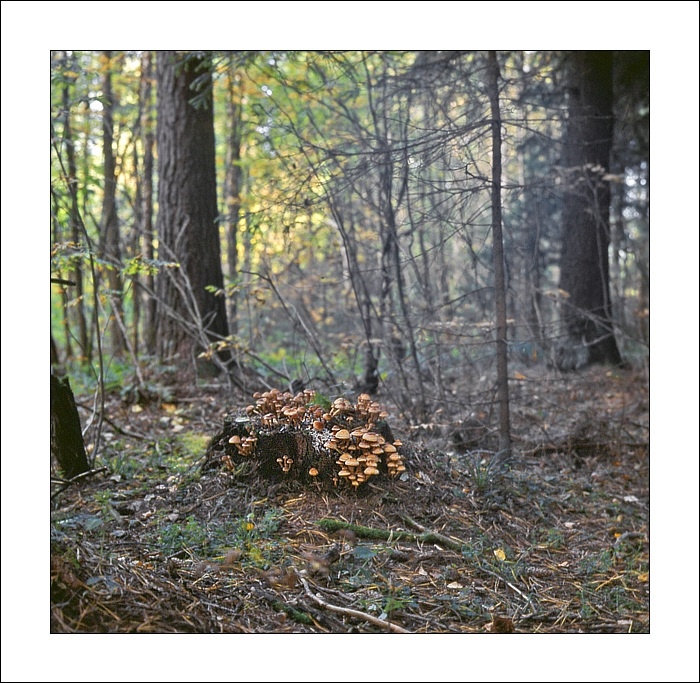Сентябрь 