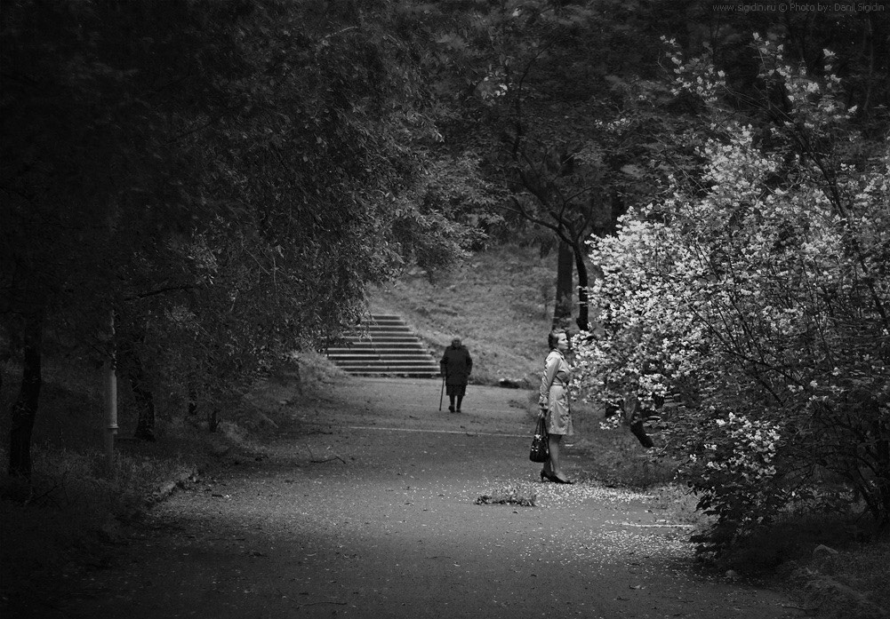 Затишье после бури парк. сквер, девушка. бабушка. весна. цветы