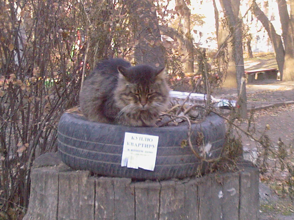 Куплю квартиру 