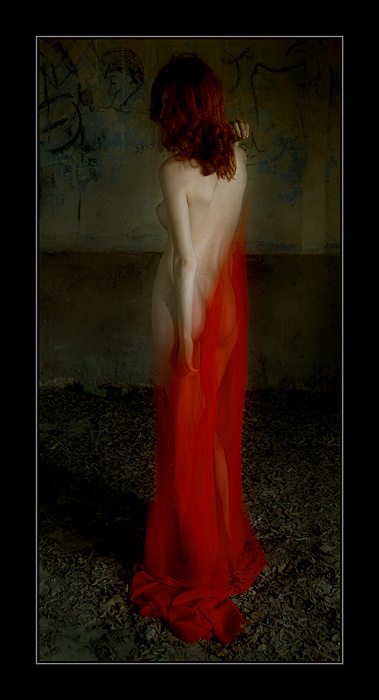 Red Imagination 