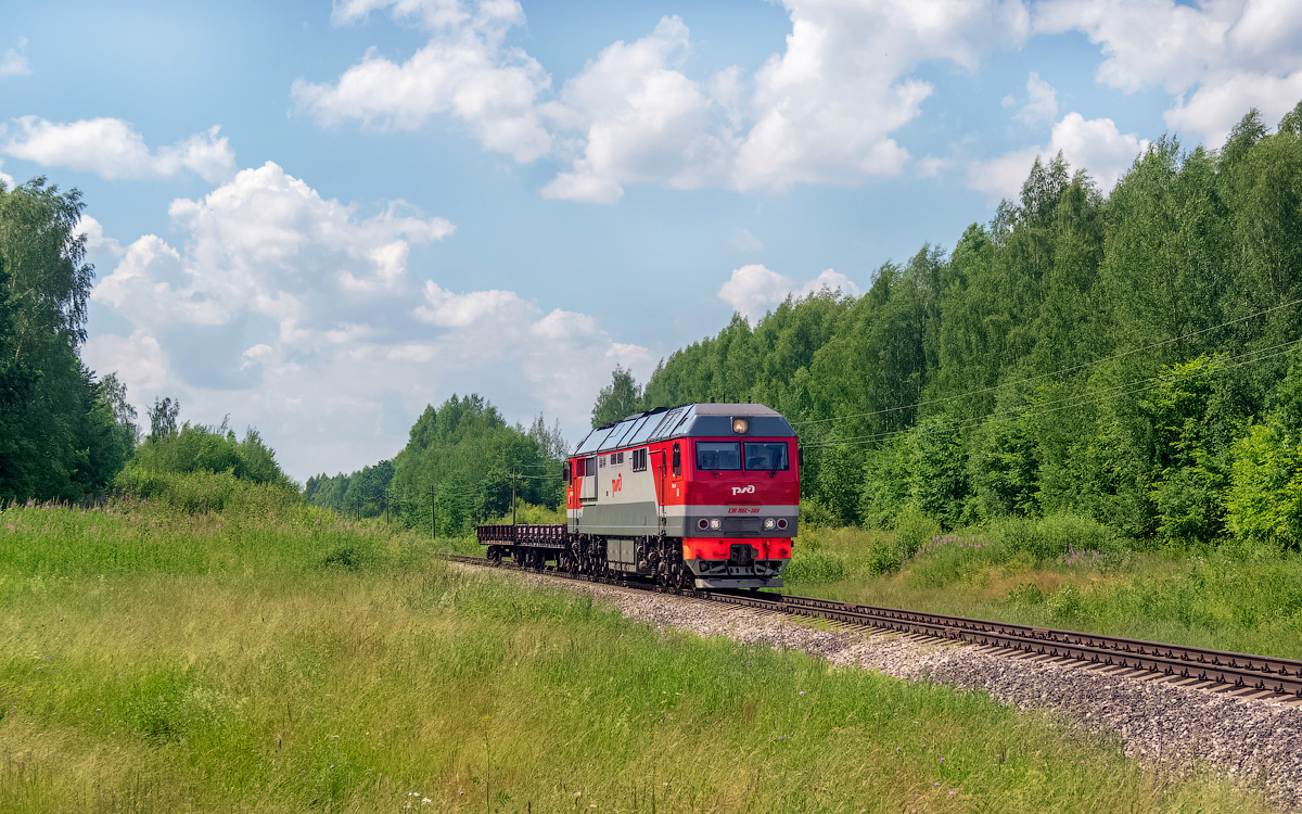 ТЭП70БС-309 ТЭП70БС-309 сев сжд жд перегон поезд транспорт тепловоз локомотив сендега дровинки