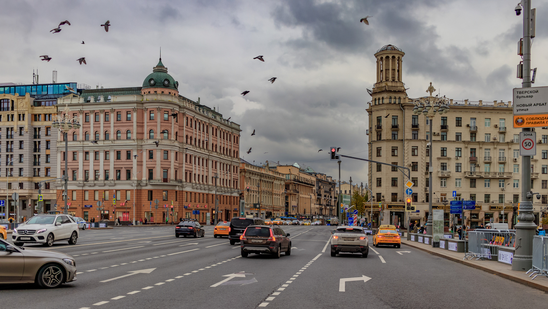 Птицы на Тверской Город