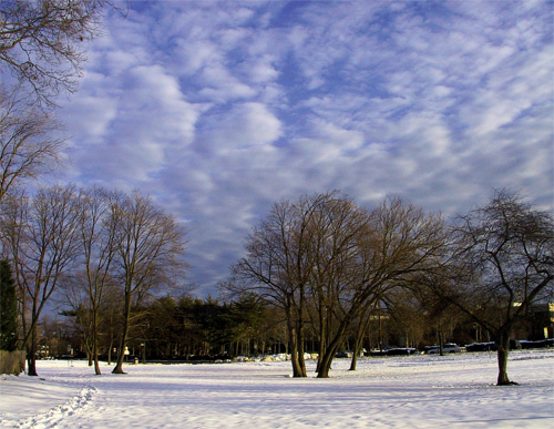 The Winter 