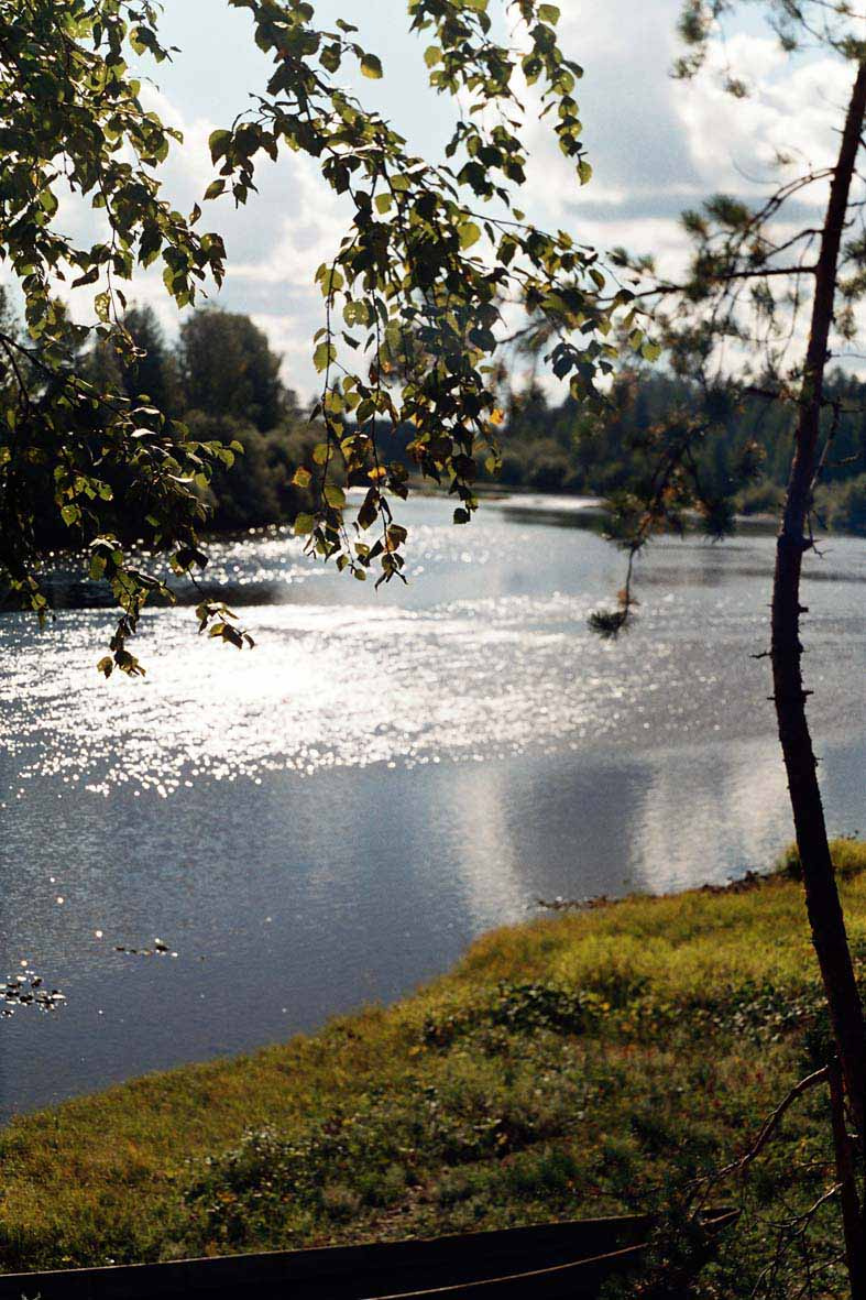 Северное лето 