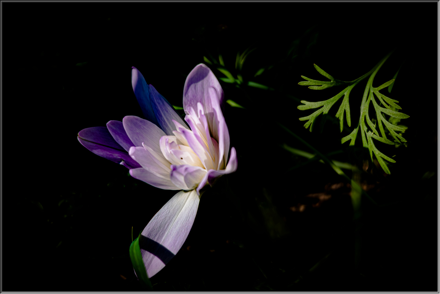 *** природа