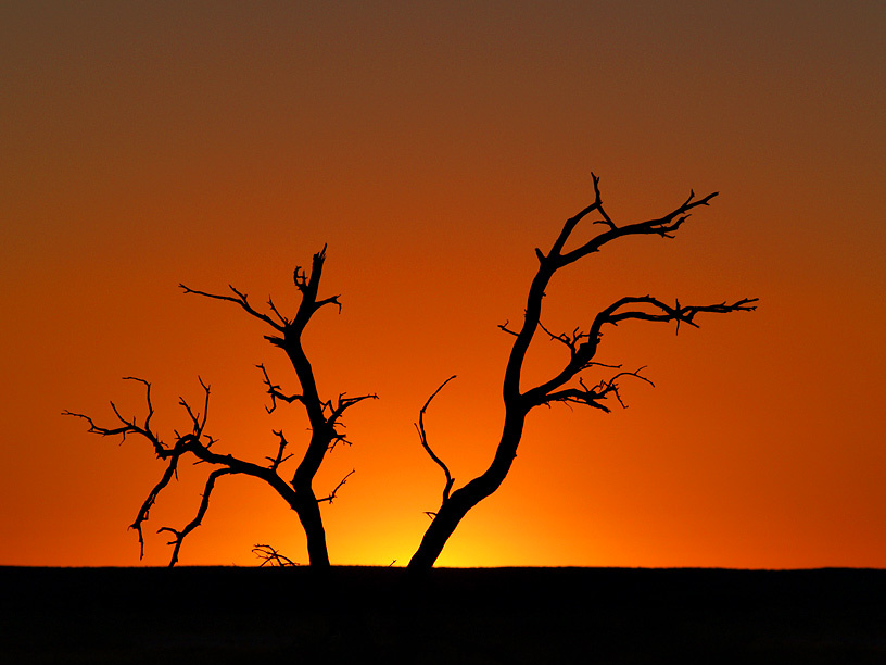 Simpson desert Simpson desert