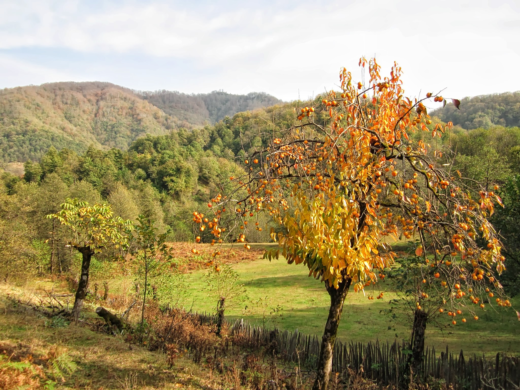 *** Erketi Guria Travel Georgia Грузия Гурия Природа