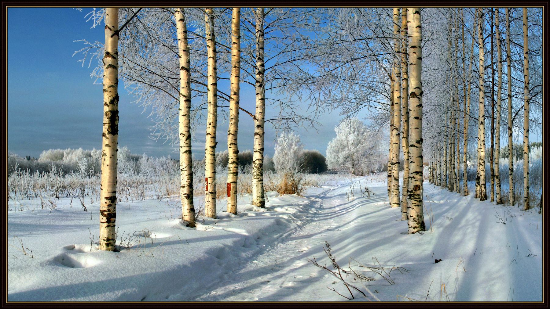 В березовом краю (1.1) 