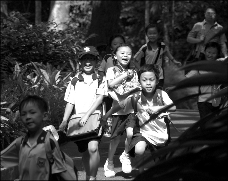 ZOO Singapore ZOO