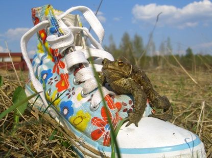 frogman, tilko-kisliy)))) frog